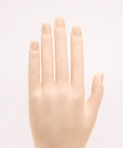 SHAREYDVA Practice Hand Standard